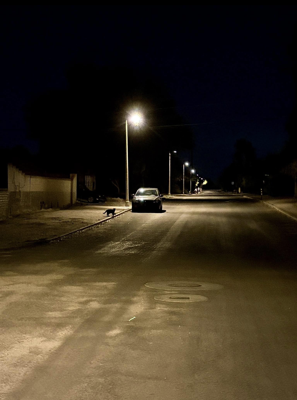 second occurrence documentation